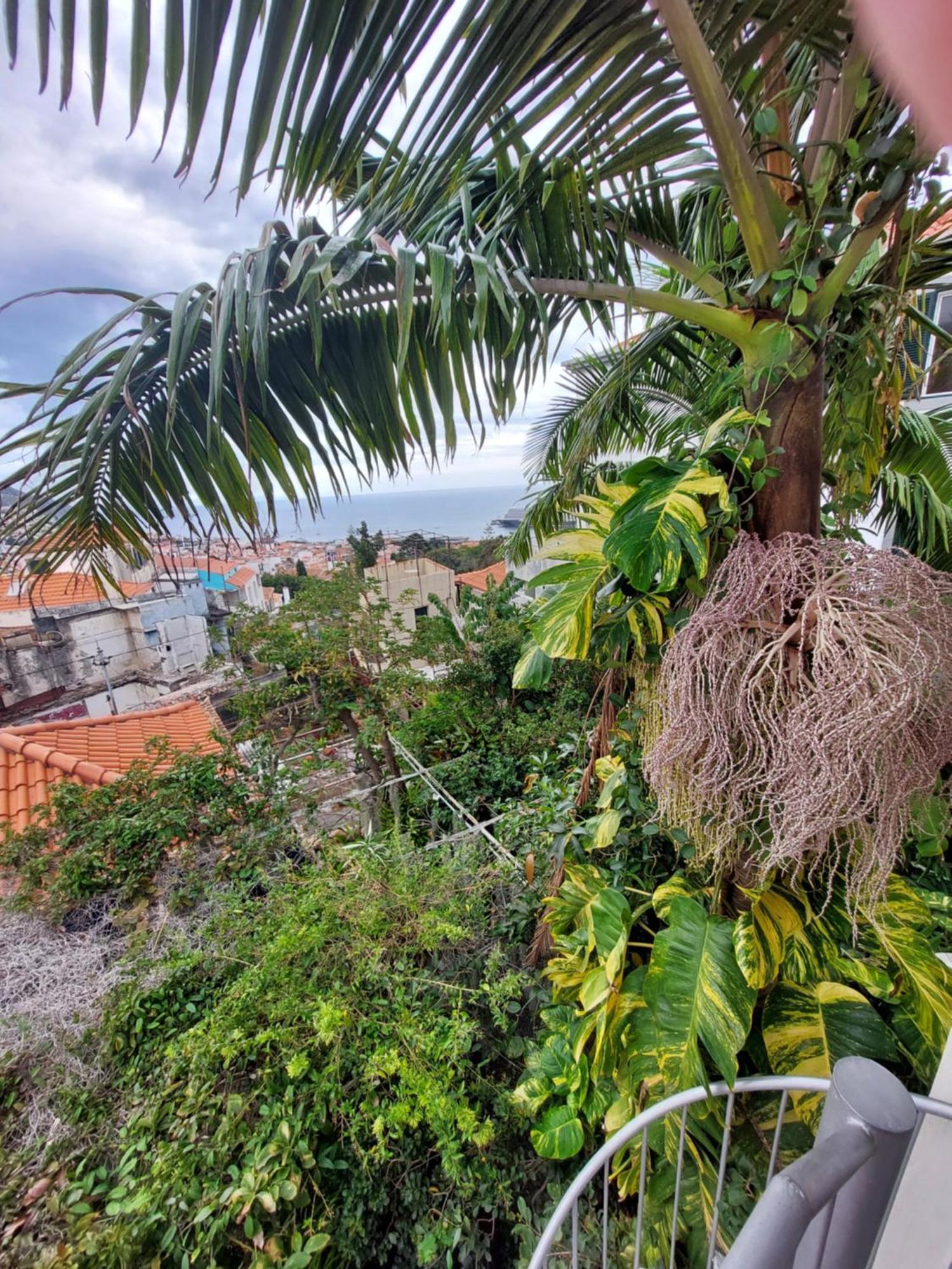 Casa Pico Musica Apartamento Funchal (Madeira)