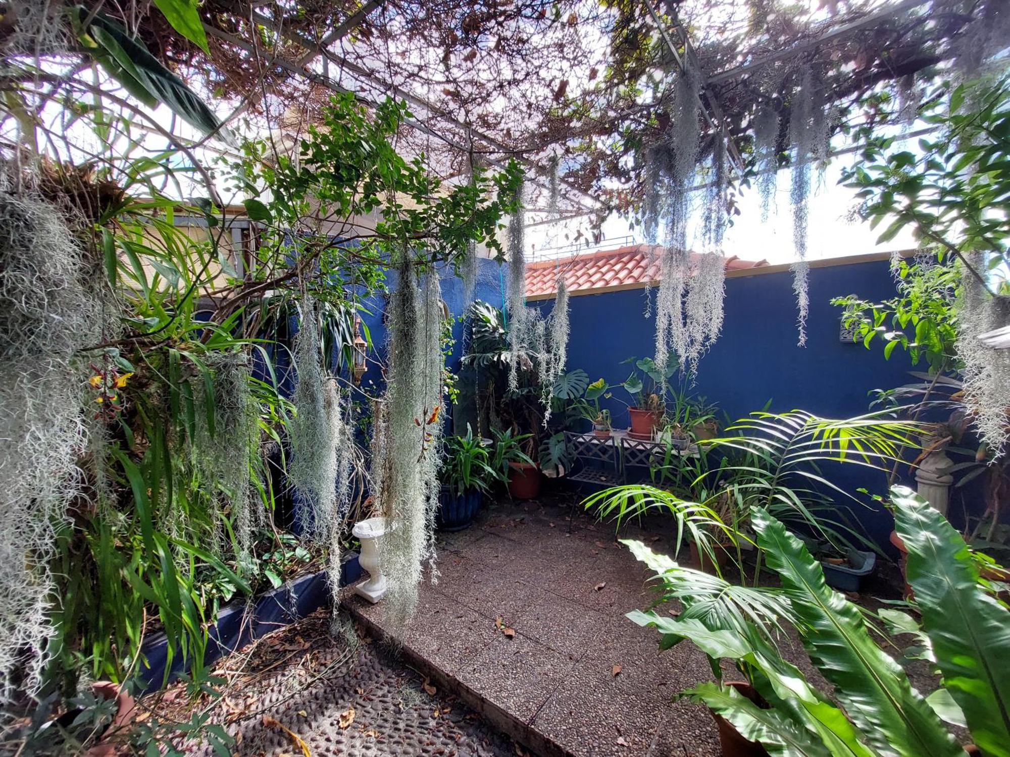 Apartamento Casa Pico Musica Funchal (Madeira)